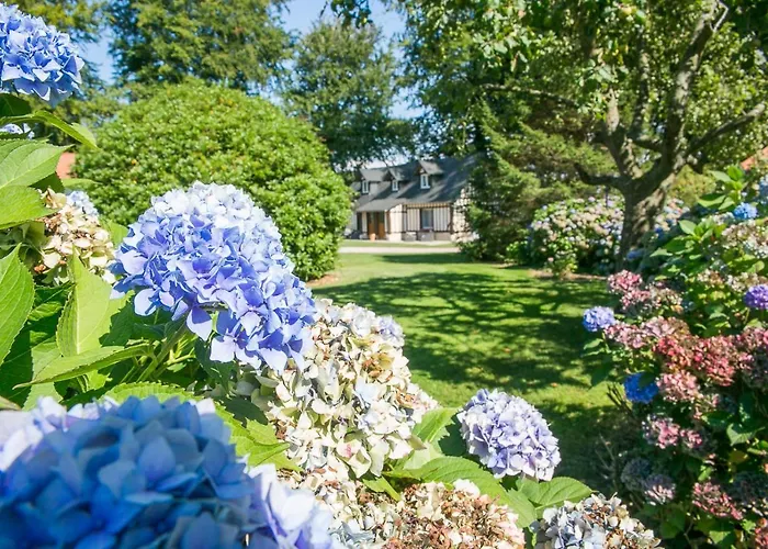 Clos Celeste - Campagne D Etretat Avec Piscine Et 4*